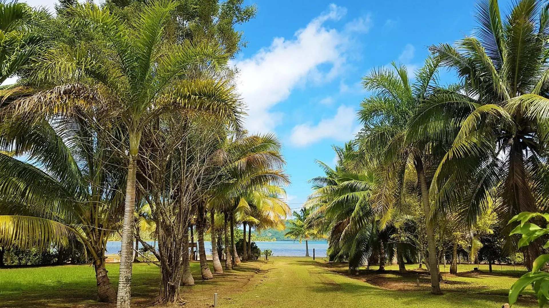Huahine - Fare Teakavehere Tipanier Haapu 度假居